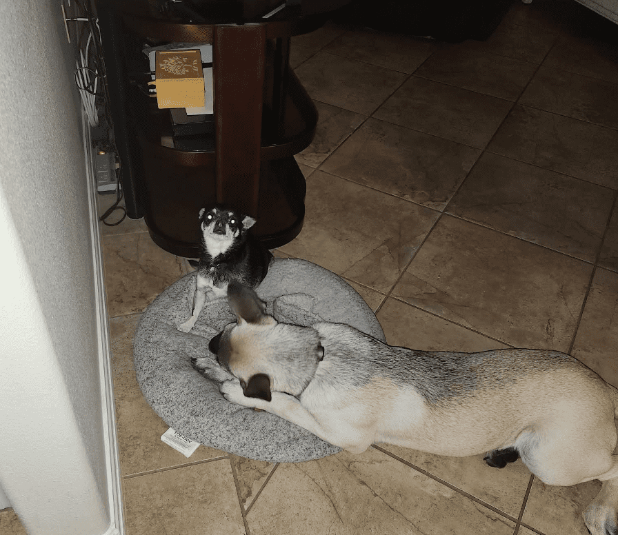 Screenshot 2025-10-24 203112