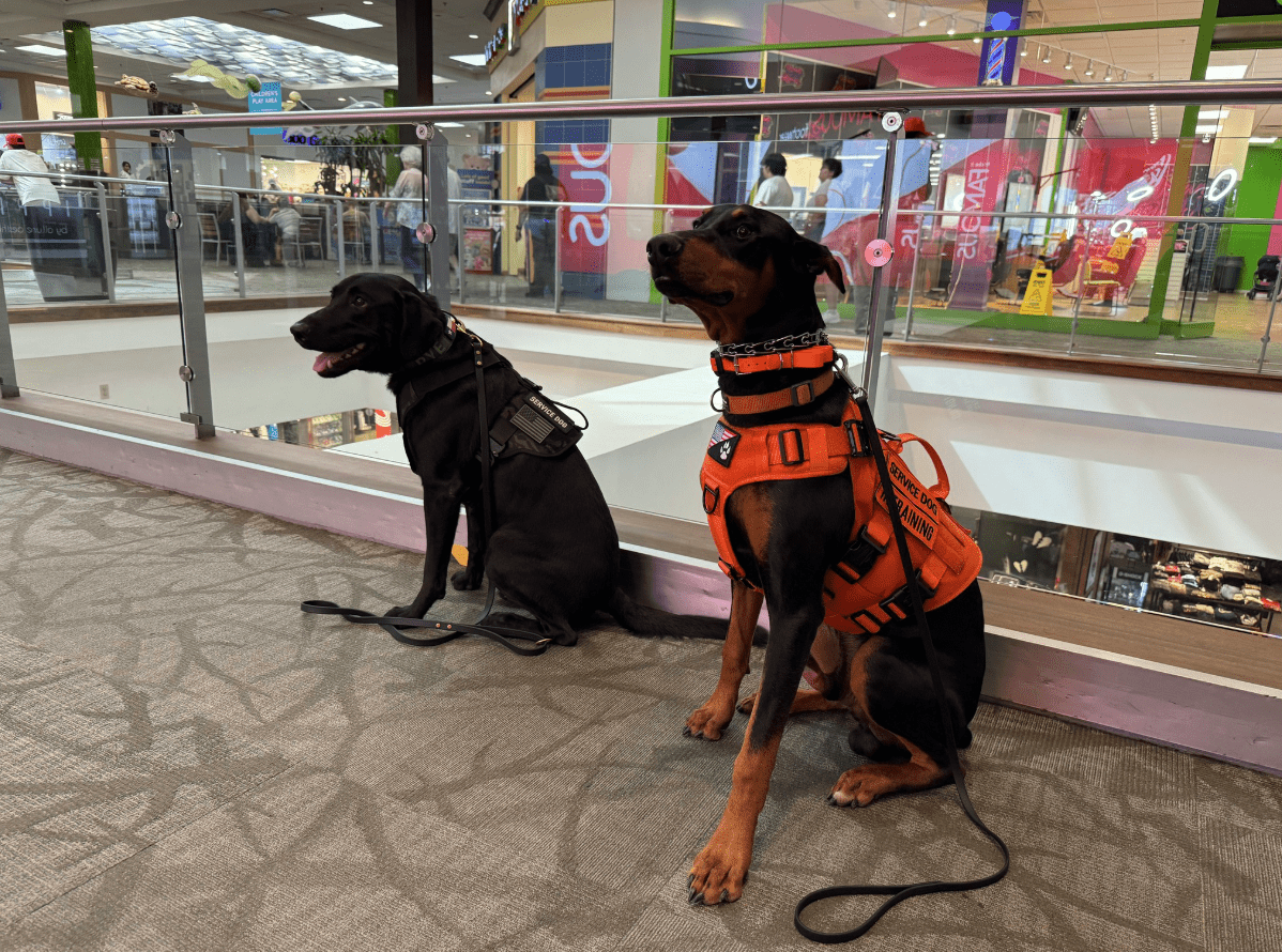 Screenshot 2025-10-24 203244